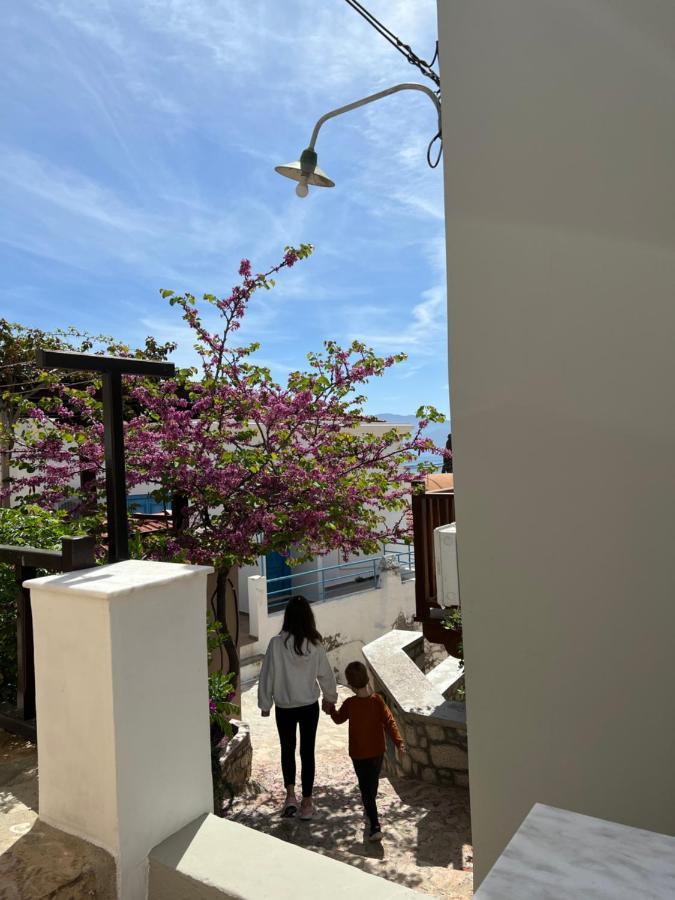 Luca'S Houses Chalki Town المظهر الخارجي الصورة